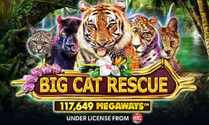 tf88 Big Cat Rescue Megaways